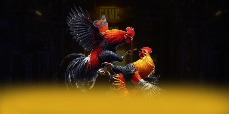 FC88 - Trang game uy tín 2025 – Đánh giá FC88