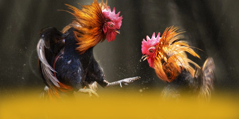 KKWIN - Cổng giải trí mang đến trải nghiệm giải trí đỉnh cao đang làm mưa làm gió trên thị trường – Trải nghiệm KKWIN