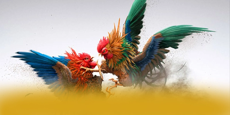 BL555 - Trang game được yêu thích hiện nay – Tìm hiểu BL555