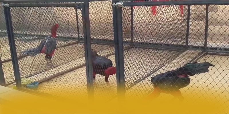 KKWIN - Trang game hiện đại trên thị trường